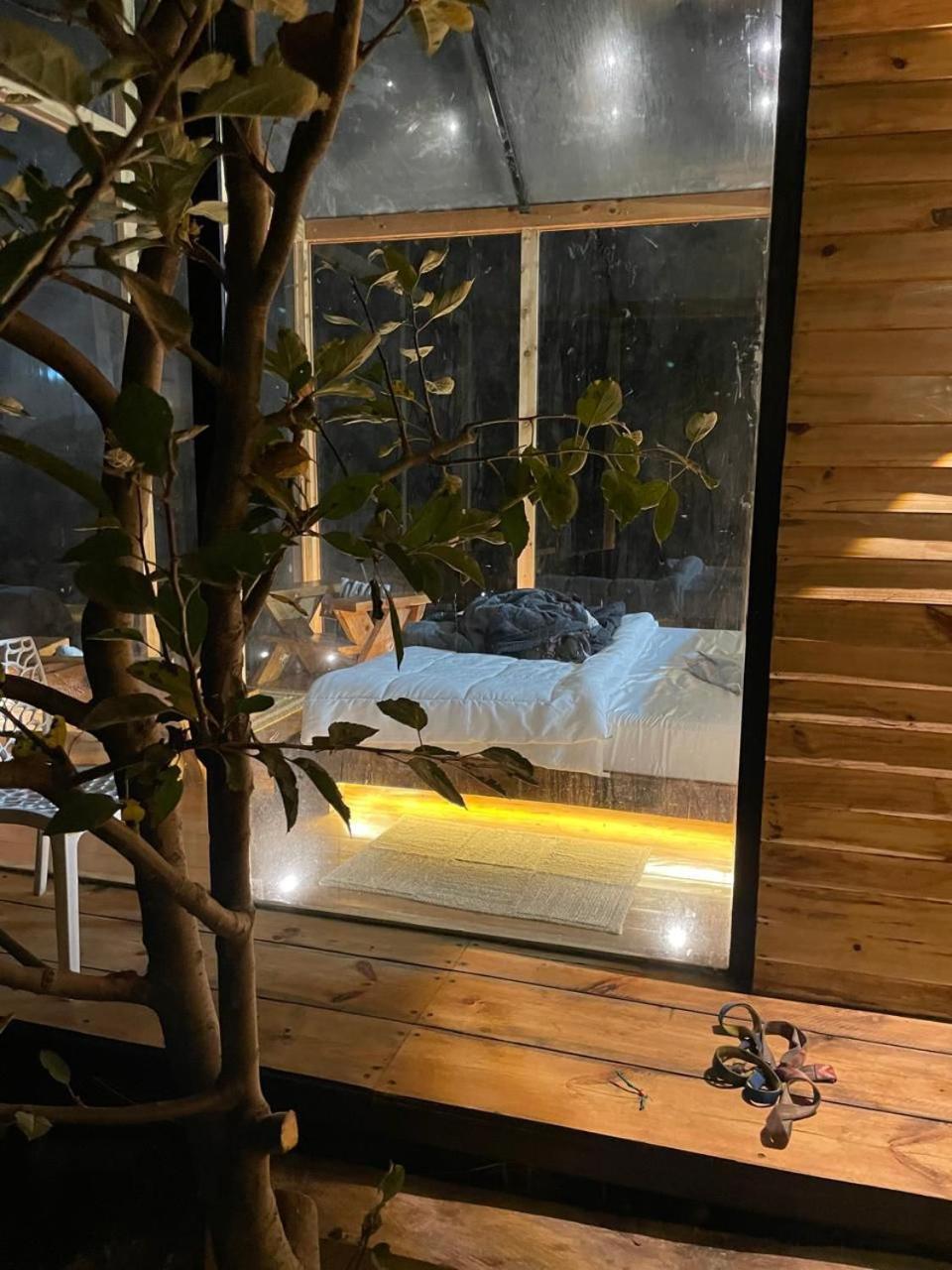 Cove The Glass House Manāli Εξωτερικό φωτογραφία